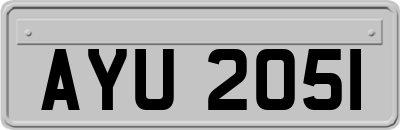 AYU2051