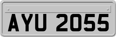 AYU2055