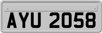 AYU2058