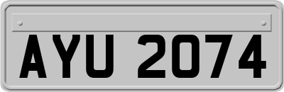 AYU2074