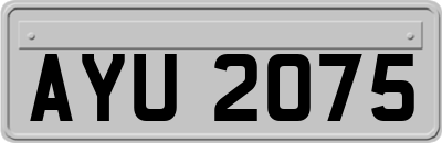 AYU2075