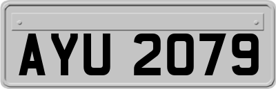 AYU2079
