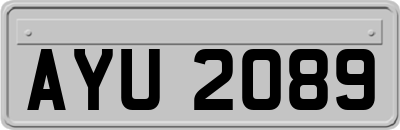 AYU2089
