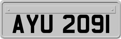 AYU2091