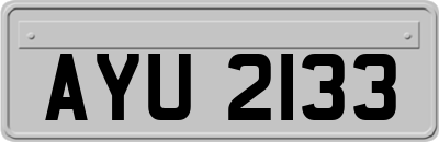 AYU2133