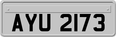 AYU2173