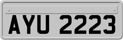 AYU2223