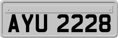 AYU2228