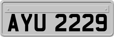 AYU2229