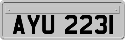 AYU2231