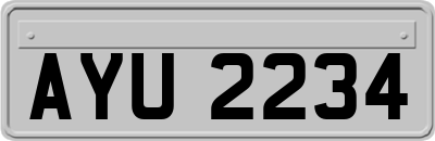 AYU2234