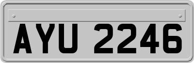 AYU2246