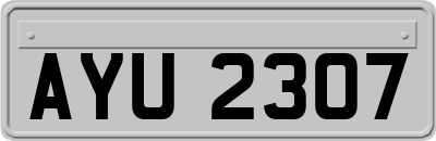 AYU2307