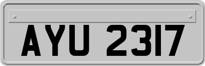 AYU2317