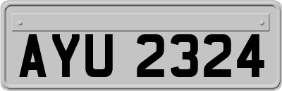 AYU2324
