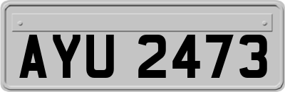 AYU2473