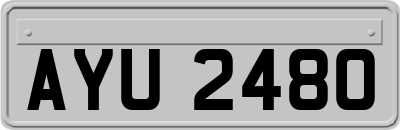 AYU2480