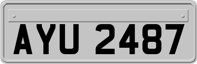 AYU2487