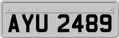 AYU2489