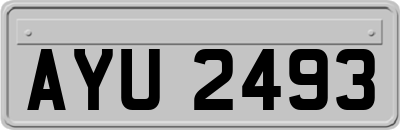 AYU2493