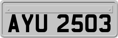 AYU2503