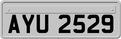 AYU2529