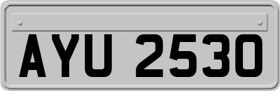 AYU2530