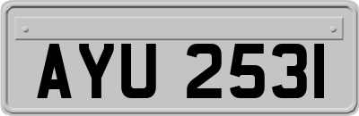 AYU2531