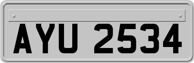 AYU2534
