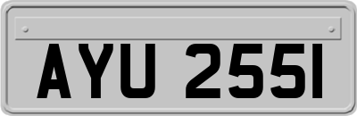 AYU2551