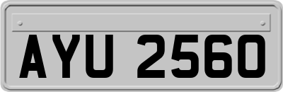AYU2560