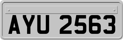 AYU2563