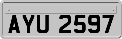 AYU2597