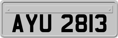 AYU2813