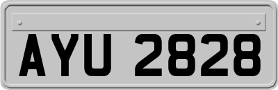 AYU2828