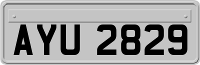 AYU2829