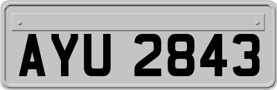 AYU2843