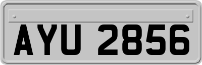 AYU2856