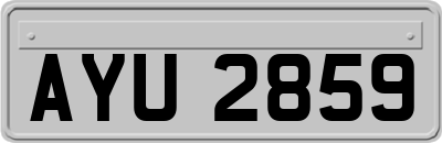AYU2859