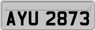 AYU2873