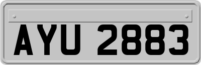 AYU2883