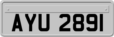 AYU2891