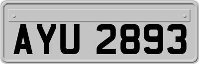 AYU2893