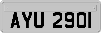 AYU2901