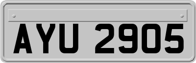 AYU2905