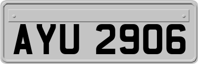 AYU2906