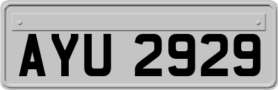 AYU2929