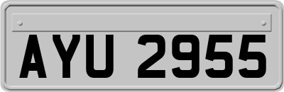 AYU2955