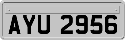 AYU2956
