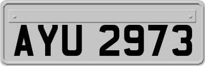 AYU2973